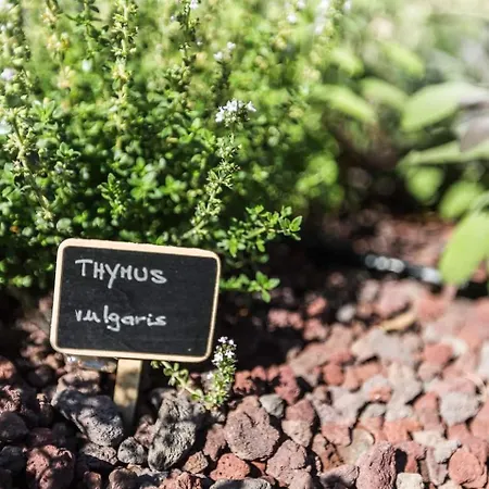 Vila Meryema - Excellent With Sea View *