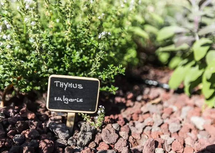 فيلة Meryema - Excellent With Sea View *